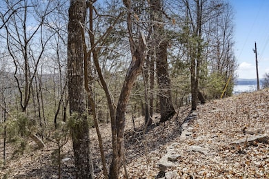 000 Map Ln, Branson, MO 65616 - photo 6