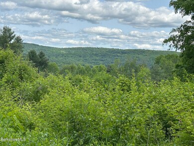 0 Brewer Branch Rd, New Marlborough, MA 01244 - photo 7