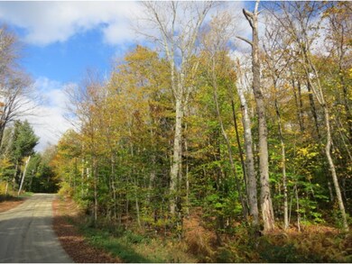 G2/G3 Sawmill Rd, Stratton, VT 05360 - photo 2