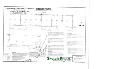 000 Bear Lake Estates, Marshfield, MO 65706 - photo 2