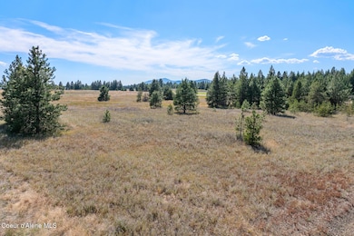 Lot 15 Asulkan St, Athol, ID 83801 - photo 2