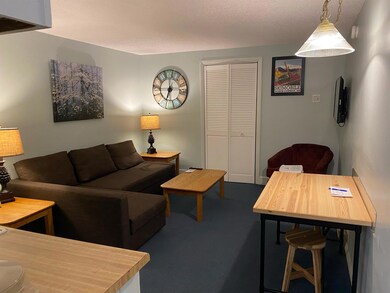 2955 White Mountain Hwy unit 125, North Conway, NH 03860 - photo 7