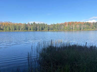 8103W Runyard Rd, Knight, WI 54534 - photo 4