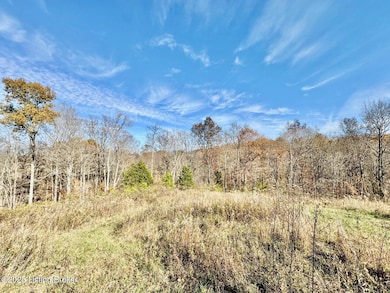 9501 Triple 5 Hwy, Willisburg, KY 40078 - photo 7