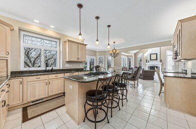 4312 Camelot Cir, Naperville, IL 60564 - photo 3