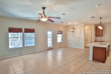 11219 Clusius, Helotes, TX 78023 - photo 6