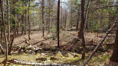 590FX Flanders Rd, Henniker, NH 03242 - photo 6