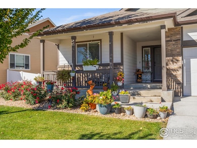 941 Barasingha St, Severance, CO 80550 - photo 5