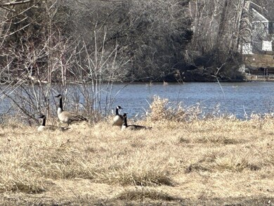 20240319184302025157000000-o