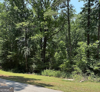 0 Shields Rd unit 10536569, Stockbridge, GA 30281 - photo 4