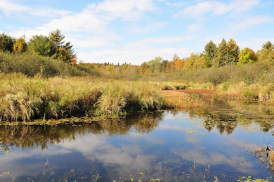 Bingo Drive Extension unit Pork Creek Edwards N, Talcville, NY 13635 - photo 2