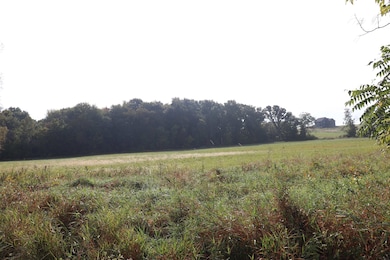 10.54 Acres County Road D, Fall River, WI 53932 - photo 6