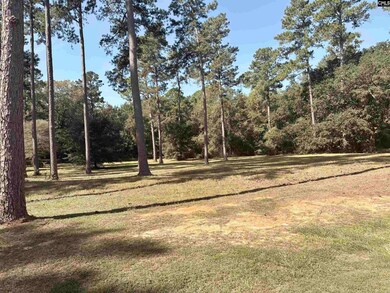 00 Saluda Dr, Santee, SC 29142 - photo 4