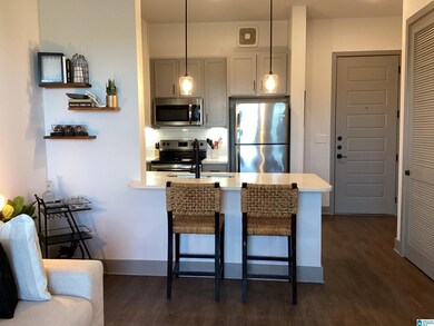 3560 Grandview Pkwy unit 2532, Birmingham, AL 35243 - photo 7