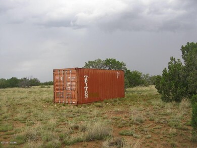 Simon 40 Acres 009