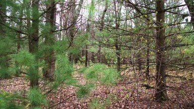 0 Fremont unit 1705842, Byron, WI 54660 - photo 4