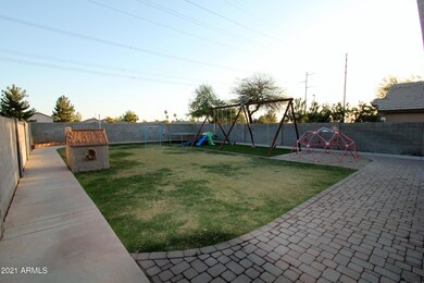 Back yard