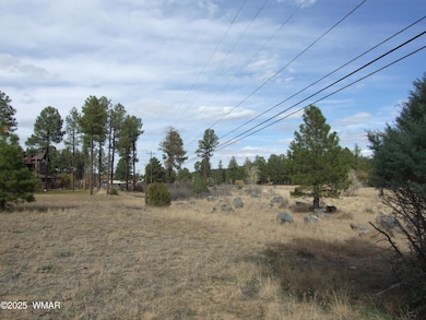 2925 Buckskin Canyon Rd, Heber-Overgaard, AZ 85928 - photo 7