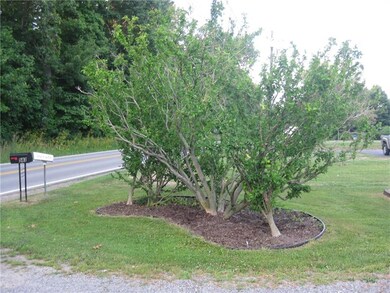 Rose of Sharon!
