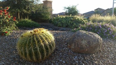 Front Landscape