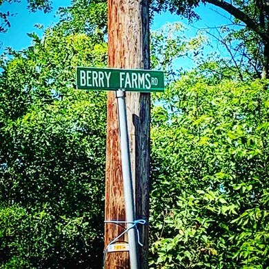 Lots 17 & 18 Berry Farms Rd, Alexandria, NH 03222 - photo 2