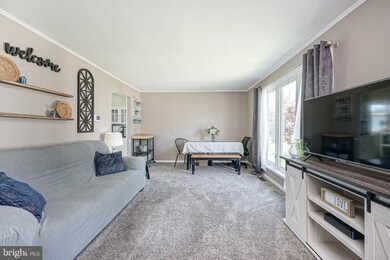 16 Adams Ave, Mount Ephraim, NJ 08059 - photo 6