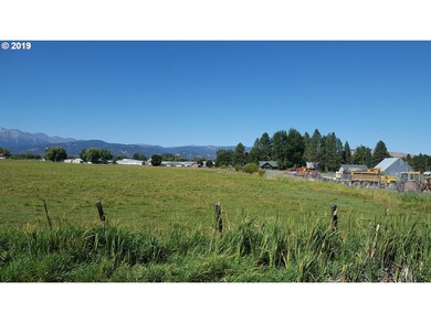 0 0 Lone Fir unit 19409627, Halfway, OR 97834 - photo 2