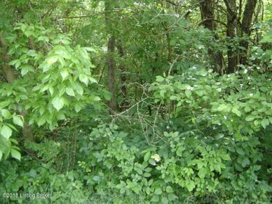 DSC00359