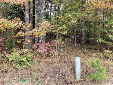 2.5 Acres Greene 140, Paragould, AR 72450 - photo 4