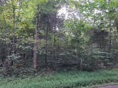 365 Burnside Hideaway Dr, Burnside, KY 42519 - photo 2