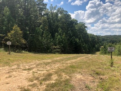 TBD Cr 225, Oxford, MS 38655 - photo 3