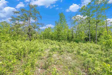 Lot 3 High Pines Trail, Boyne City, MI 49712 - photo 7
