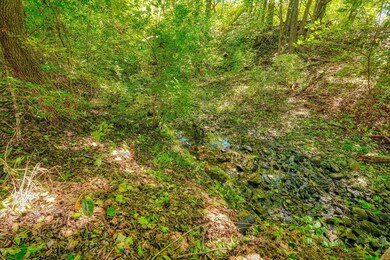 21582 Winstead Rd, Circleville, OH 43113 - photo 5