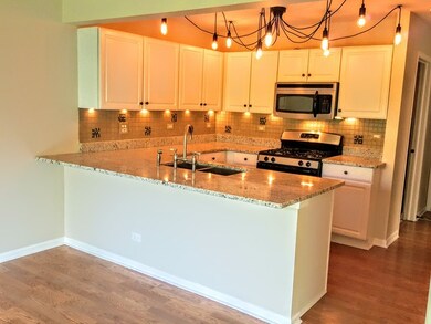 705 Timothy Ct unit 705, East Dundee, IL 60118 - photo 3