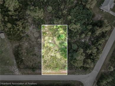 1307 Taft Ave, Lake Placid, FL 33852 - photo 2