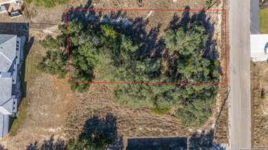 231 Peter Kleid Loop, Blanco, TX 78606 - photo 3