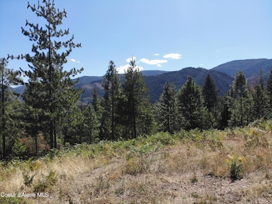 905 Terror Gulch Rd, Osburn, ID 83849 - photo 3