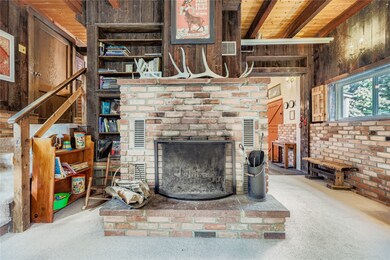 1300 Main St, Georgetown, CO 80444 - photo 6