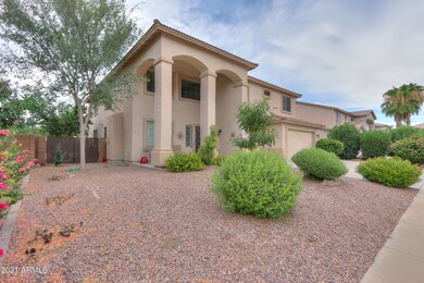 Front Yard