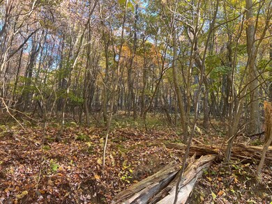 0 Braughler Rd unit 25589570, Grant Township, PA 15771 - photo 3