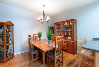 9 Old Stage Rd, Litchfield, NH 03052 - photo 6