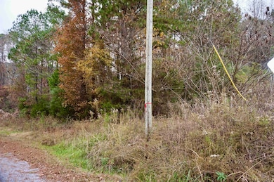 00 County Road 738, Cullman, AL 35055 - photo 3