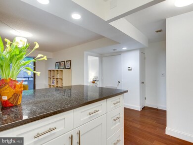 Encore of McLean unit 316, McLean, VA 22102 - photo 5