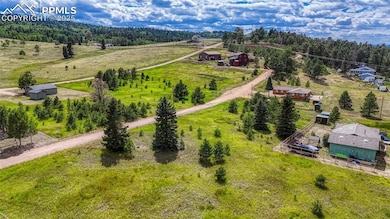 1129 Will Scarlet Dr, Divide, CO 80814 - photo 3