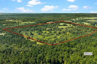 TBD Farm To Market 1798 E, Mount Enterprise, TX 75681 - photo 4