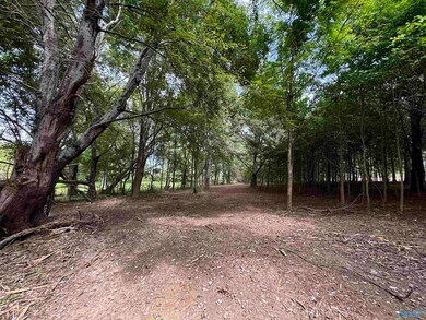 470 Randles Rd, Grant, AL 35747 - photo 2