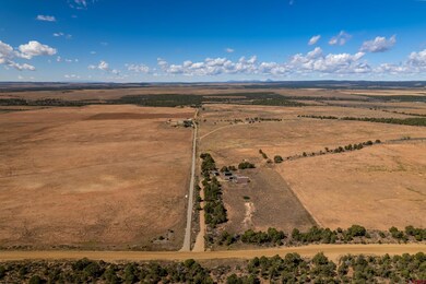 3433 Cr 119, Hesperus, CO 81326 - photo 4