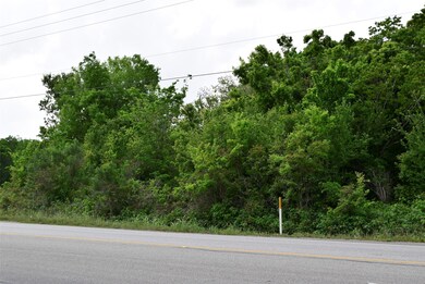 0 Hwy 60 N unit 86510839, Bay City, TX 77414 - photo 3