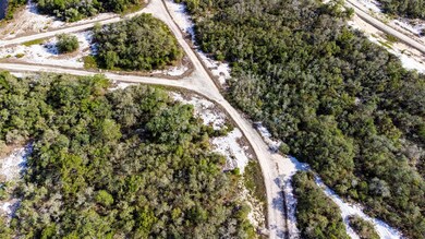 239 Crystal Lake Dr, Lake Placid, FL 33852 - photo 6