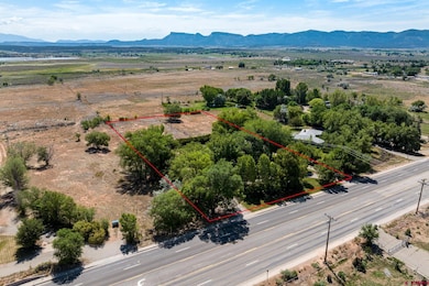 1300 N Dolores Rd, Cortez, CO 81321 - photo 4